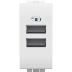 Cargador USB Tipo A+A Blanco N4191AA Bticino Livinglight