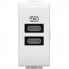 Cargador USB Tipo C+C BTicino Livinglight _4191CC