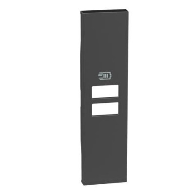 Frontal Cargador USB Tipo A+C Bticino Living Now 1 Módulo