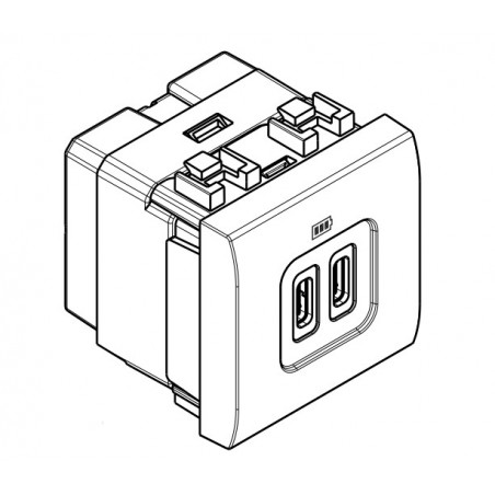 Cargador USB C+C BTicino Livinglight 2 módulos _4286C2