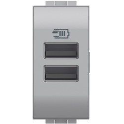 Cargador USB Tipo A+A 1 Módulo _4191AA Bticino Livinglight