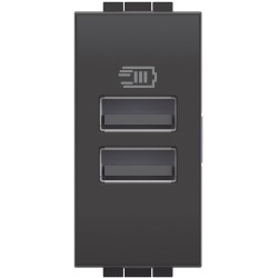 Cargador USB Tipo A+A 1 Módulo _4191AA Bticino Livinglight