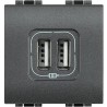 Cargador USB Tipo A+A BTicino Livinglight _4285C2