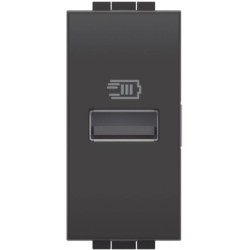 Cargador USB Tipo A BTicino Livinglight _4191A