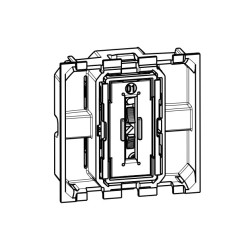 Conmutador 1P 10AX 2 Módulos Iluminable Bticino K4003M2A Living Now