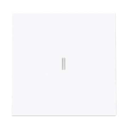 Tecla con Visor Interruptores 8901.3 Niessen Alba