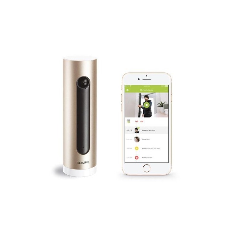 Cámara Vigilancia Interior Inteligente Netatmo NSC-PRO Legrand