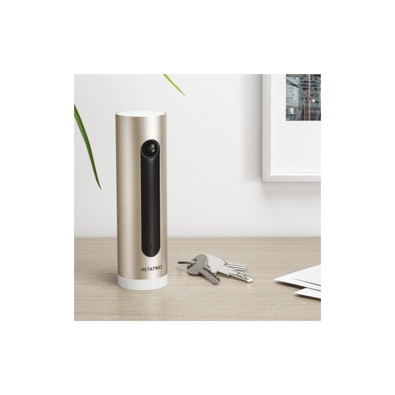 Cámara Vigilancia Interior Inteligente Netatmo NSC-PRO Legrand