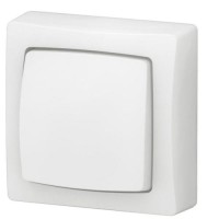 Pulsador 6A Superficie 086006 Legrand Oteo Blanco