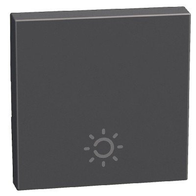 Tecla símbolo luz 2 módulos Light Now Y_4915AM2A Bticino - Bricoelige