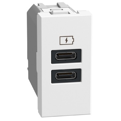 Cargador USB 2 Tipo C + C 1 módulo Bticino Light Now 4191CC