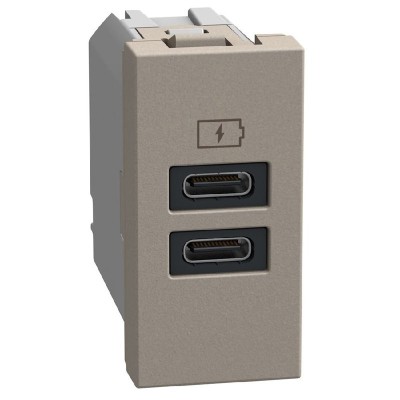 Cargador USB 2 Tipo C + C 1 módulo Bticino Light Now 4191CC
