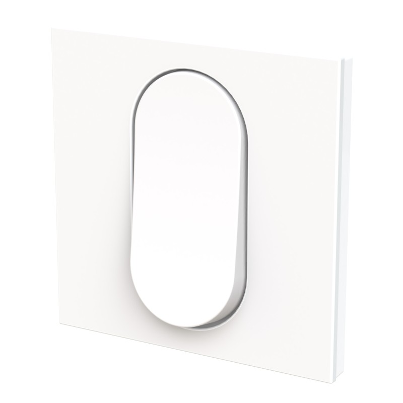 Tecla Interruptor-Conmutador Niessen Alter Vega 8801.08