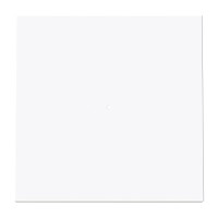 Tecla Interruptor C/Visor Niessen Vega 8801.3