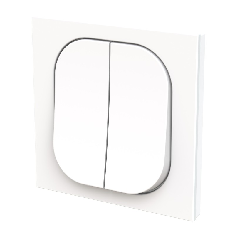 Tecla Doble Interruptor-Conmutador Niessen Alter Vega 8811.08