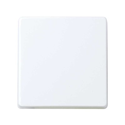 Tecla para mecanismos módulo ancho Blanco 2720010-060 Simon 27