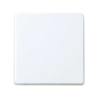 Tecla para mecanismos módulo ancho Blanco 2720010-060 Simon 27