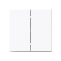 Tecla Interruptor Doble + Marco Niessen Alba 8911.09 BT