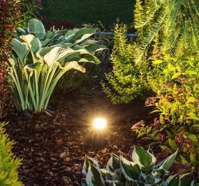 ilumina tu jardin con luminarias LED
