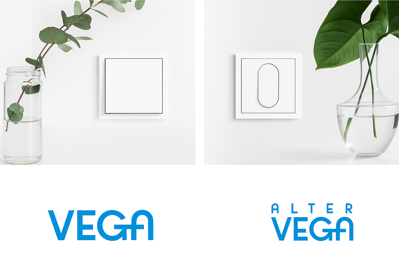 Niessen Vega